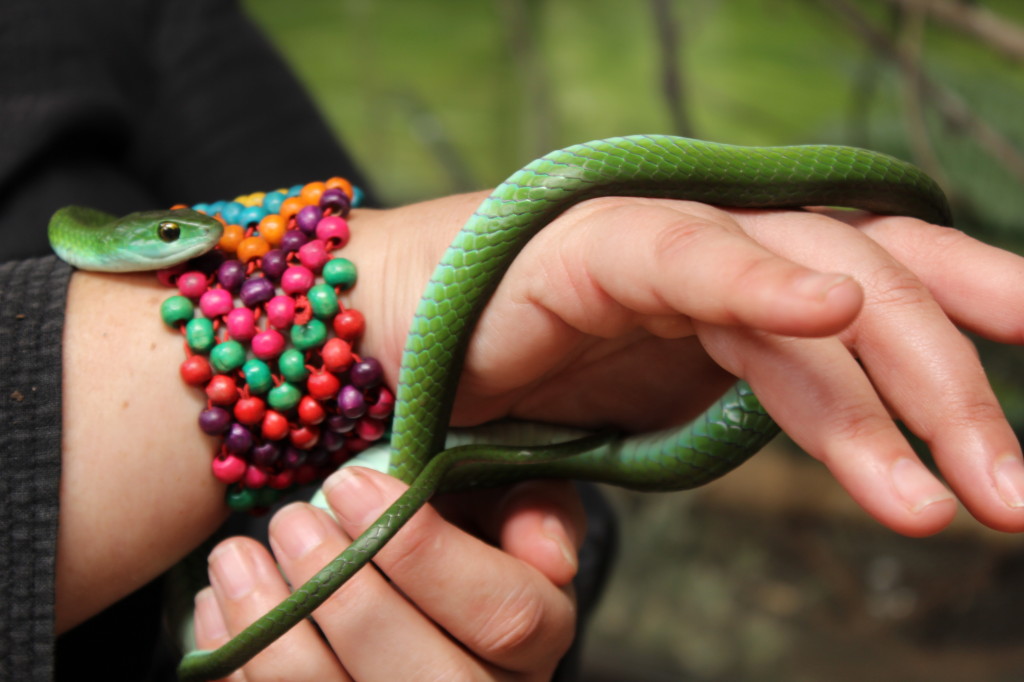 Leslie with Tree Snake
