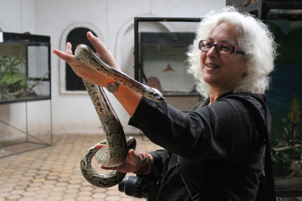 Leslie with Python