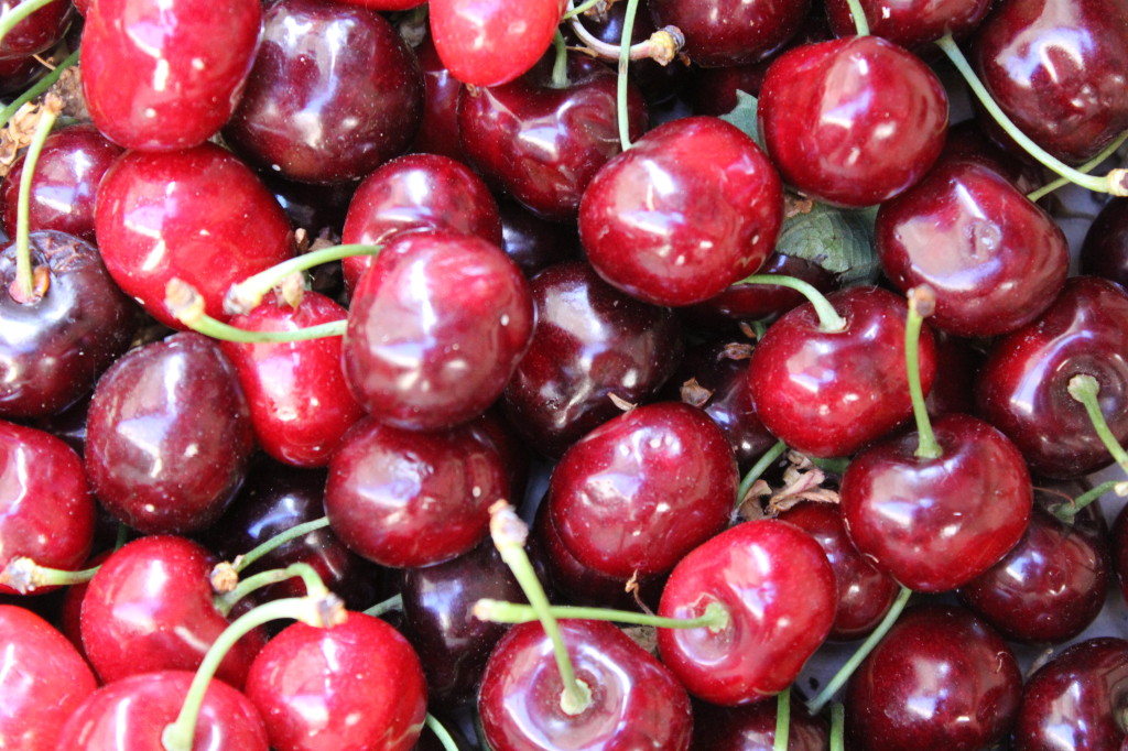 Cherries in Laguardia