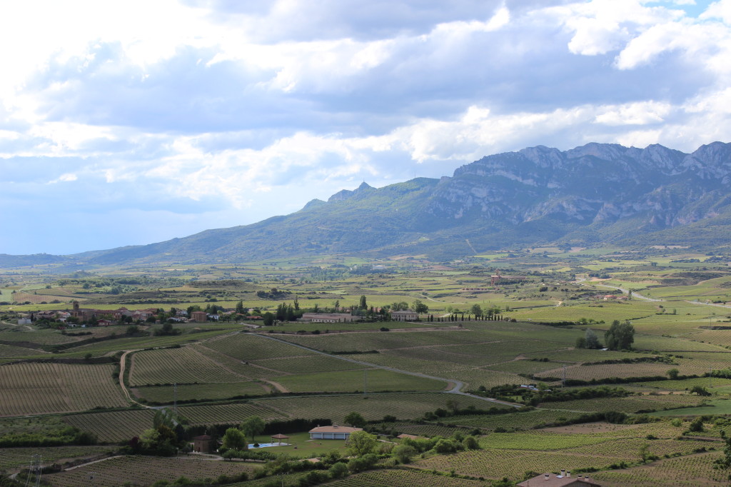 A Great Laguardia View of Rioja