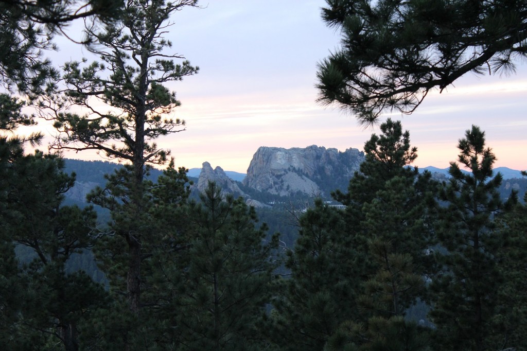 Mount Rushmore Framed By Trees