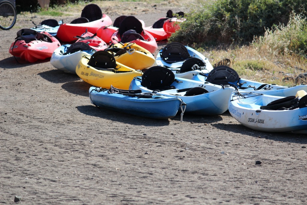 Scorpion Bay Kayaks and Camp