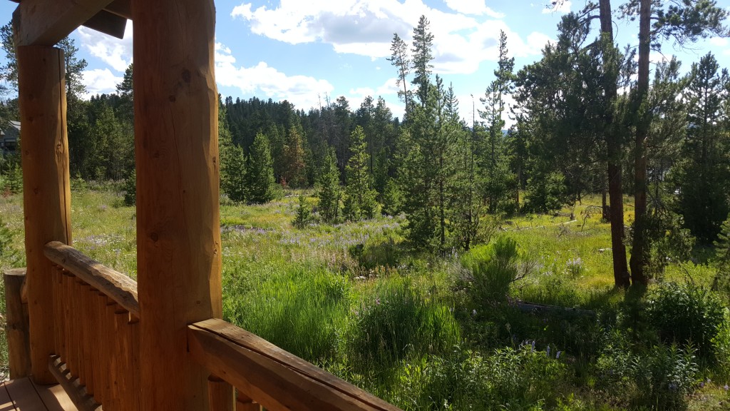 View of the meadow from our cabin at Wild Horse Inn