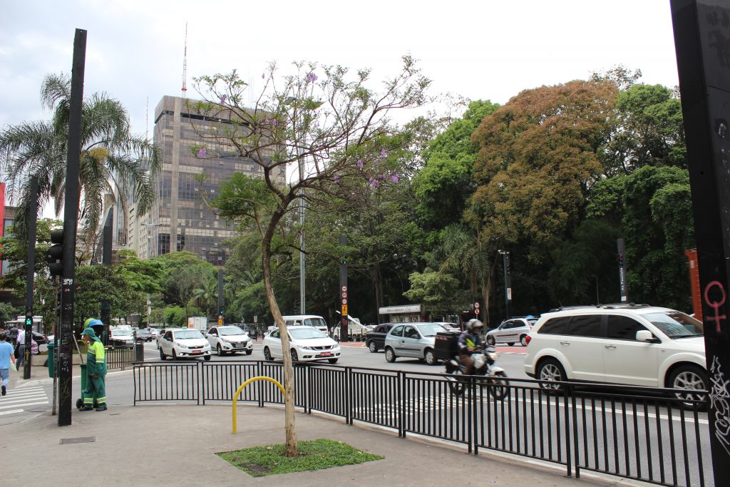 Sao Paulo in a day - Paulista Avenue