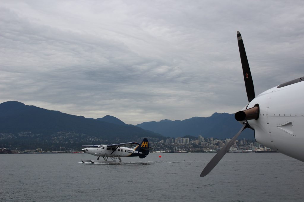 Seaplaning to our Victoria whale watch adventure